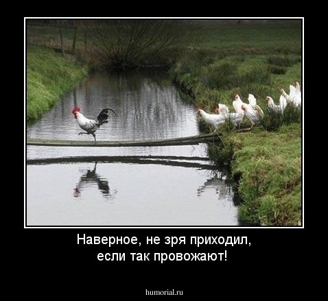 Наверное, не зря приходил, если так провожают!