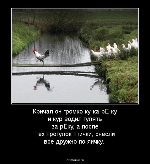 Кричал он громко ку-ка-рЕ-ку и кур водил гулять за рЕку, а после тех прогулок птички, снесли все дружно по яичку.