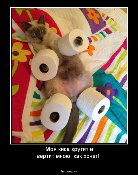 Моя киса крутит и вертит мною, как хочет!