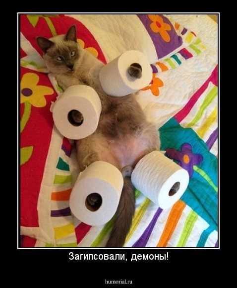 Загипсовали, демоны!