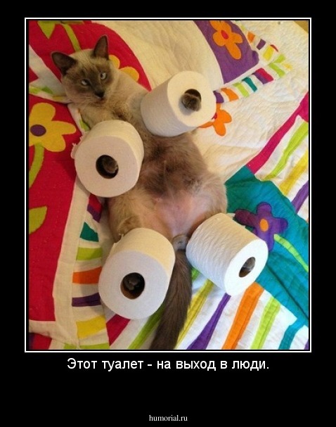 Этот туалет - на выход в люди.
