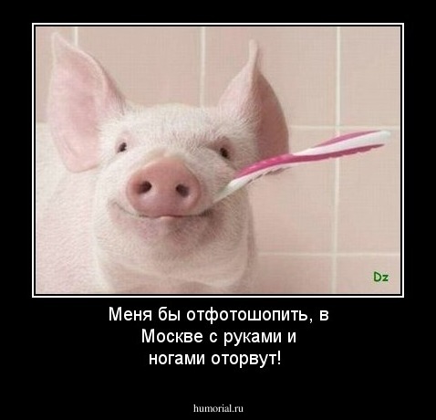 Меня бы отфотошопить,  в Москве с руками и ногами оторвут!