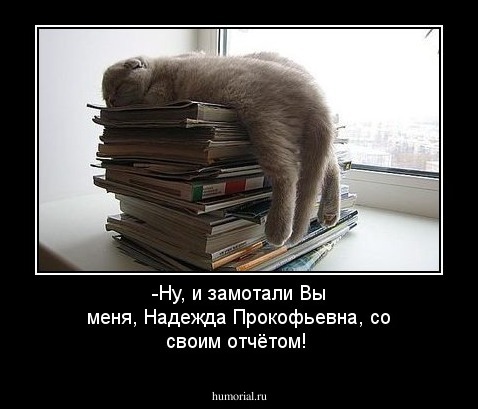 -Ну, и замотали Вы меня, Надежда Прокофьевна, со своим отчётом!