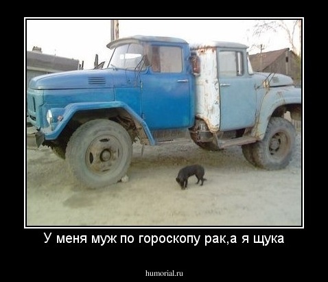 У меня муж по гороскопу рак,а я щука