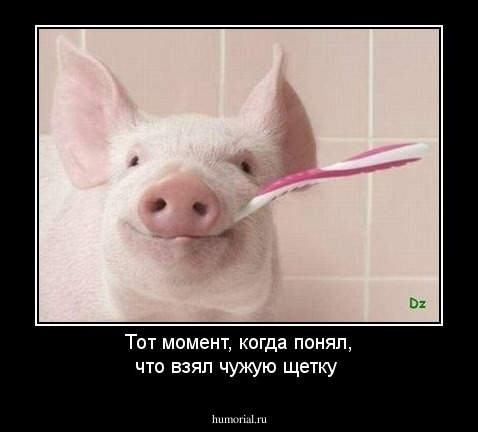 Тот момент, когда понял, что взял чужую щетку 