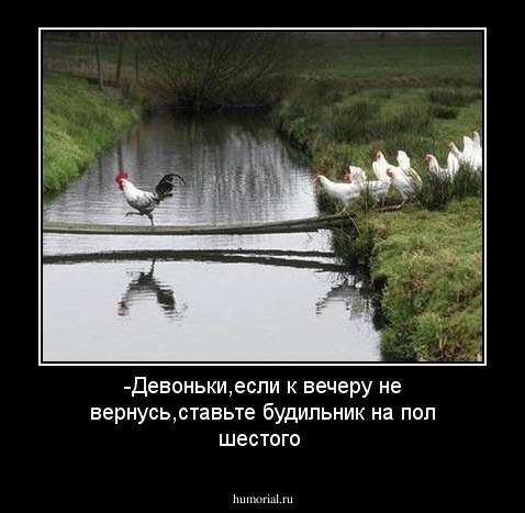 -Девоньки,если к вечеру не вернусь,ставьте будильник на пол шестого