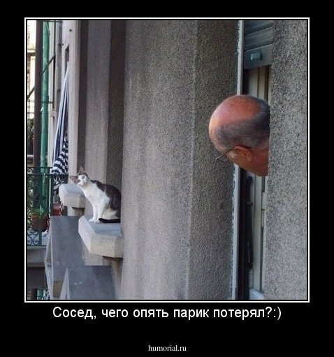 Сосед, чего опять парик потерял?:)