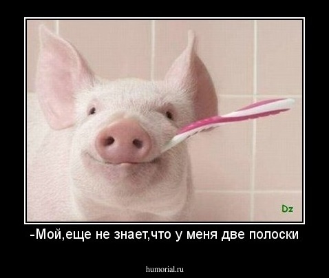 -Мой,еще не знает,что у меня две полоски