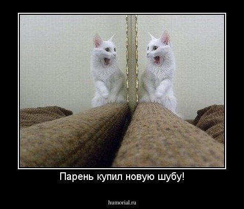 Парень купил новую шубу!