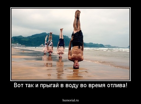 Вот так и прыгай в воду во время отлива!