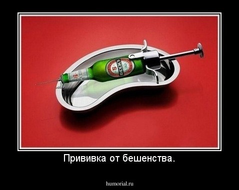 Прививка от бешенства.