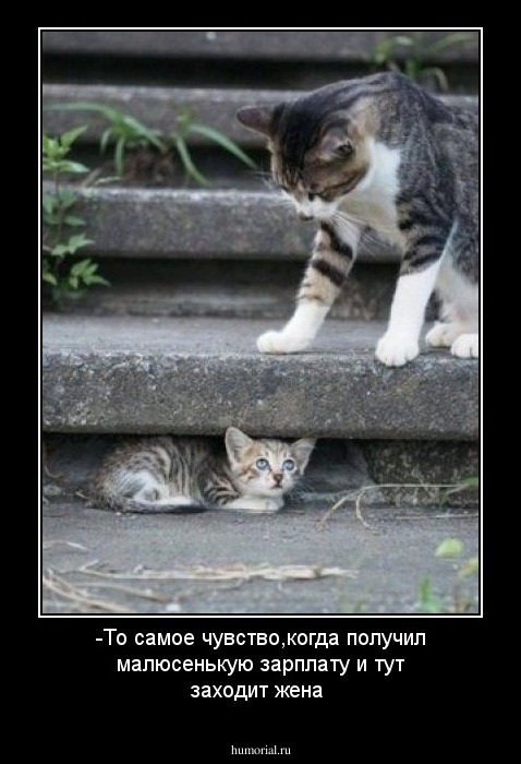 -То самое чувство,когда получил малюсенькую зарплату и тут заходит жена