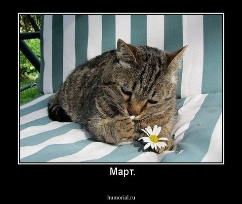  Март.