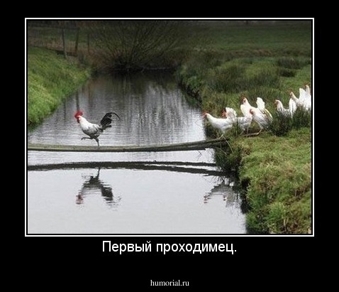 Первый проходимец.
