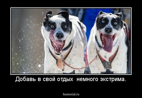 Добавь в свой отдых  немного экстрима.