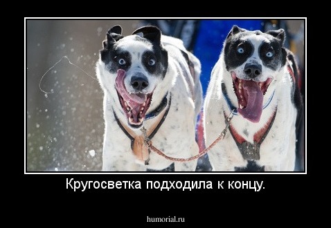 Кругосветка подходила к концу.