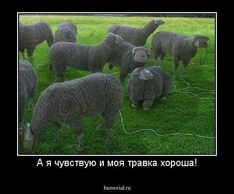 А я чувствую и моя травка хороша!