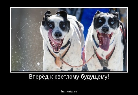 Вперёд к светлому будущему!