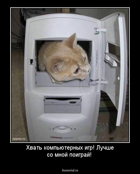 Хвать компьютерных игр! Лучше со мной поиграй!