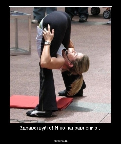 Здравствуйте! Я по направлению...