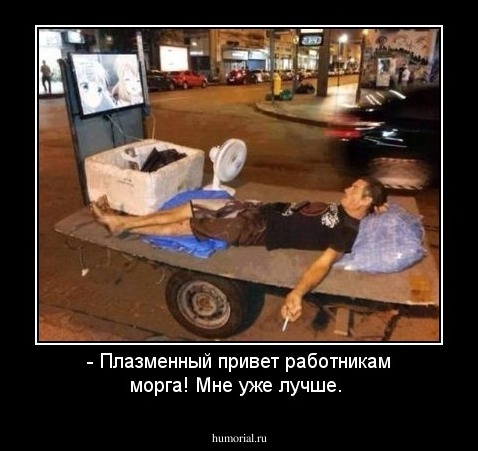 - Плазменный привет работникам морга! Мне уже лучше.