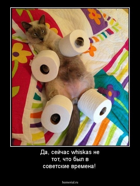 Да, сейчас whiskas не тот, что был в советские времена!