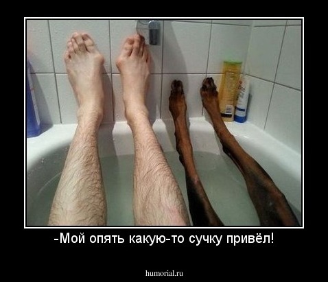 -Мой опять какую-то сучку привёл!