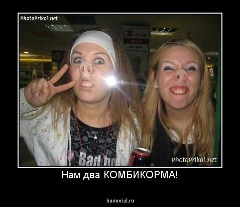 Нам два КОМБИКОРМА!