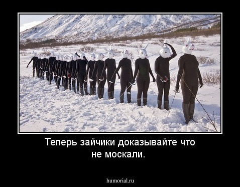 Теперь зайчики доказывайте что не москали.