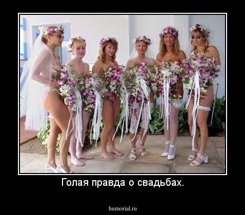 Голая правда о свадьбах.
