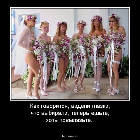  Как говорится, видели глазки, что выбирали, теперь ешьте, хоть повылазьте.