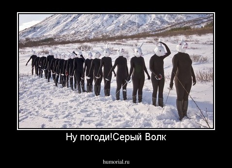Ну погоди!Серый Волк