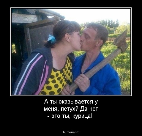 А ты оказывается у меня, петух? Да нет - это ты, курица!