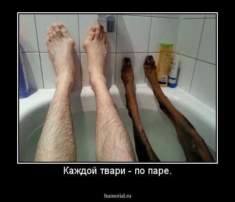 Каждой твари - по паре.