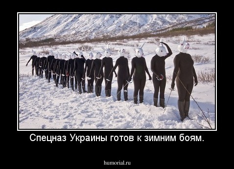 Спецназ Украины готов к зимним боям.