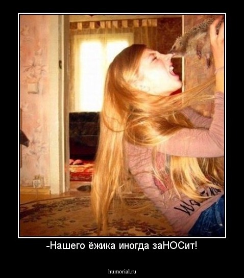 -Нашего ёжика иногда заНОСит!