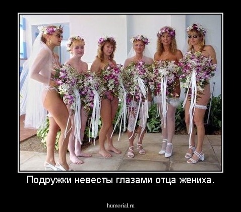 Подружки невесты глазами отца жениха.