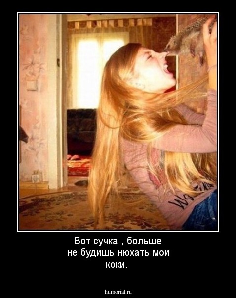 Вот сучка , больше не будишь нюхать мои коки.