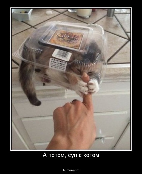 А потом, суп с котом