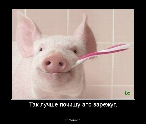 Так лучше почищу ато зарежут.