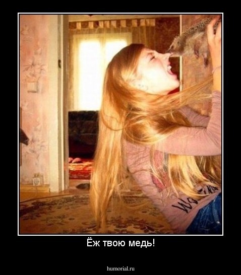 Ёж твою медь!