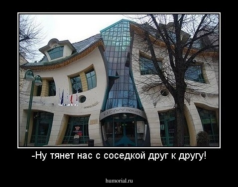 -Ну тянет нас с соседкой друг к другу!
