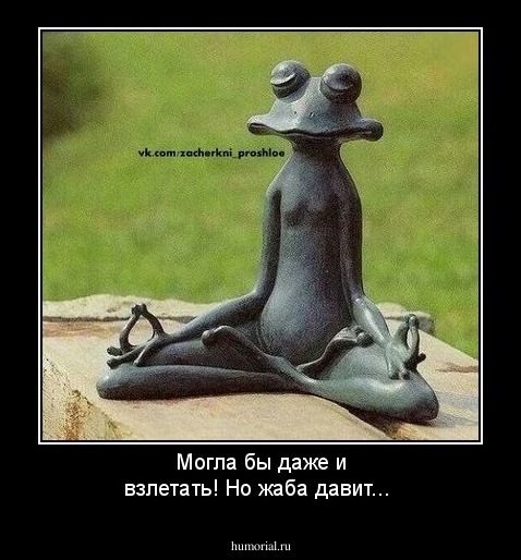 Могла бы даже и взлетать! Но жаба давит...