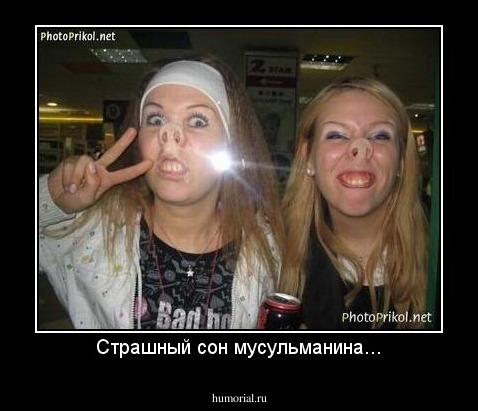 Страшный сон мусульманина...