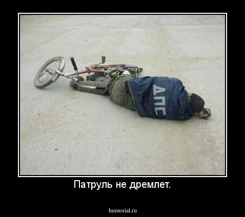 Патруль не дремлет.