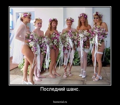 Последний шанс.