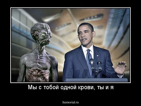Мы с тобой одной крови, ты и я