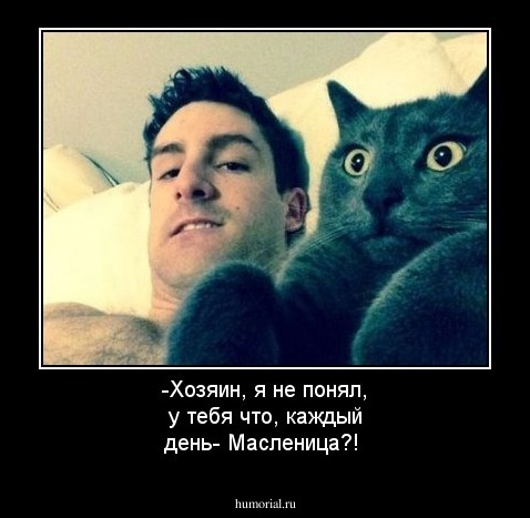 -Хозяин, я не понял, у тебя что, каждый день- Масленица?!