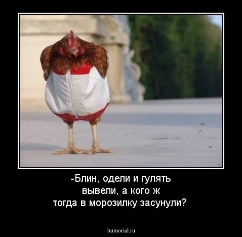 -Блин, одели и гулять вывели, а кого ж тогда в морозилку засунули?