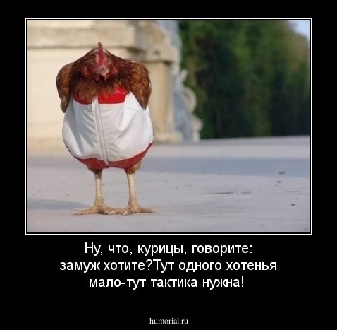 Ну, что, курицы, говорите: замуж хотите?Тут одного хотенья мало-тут тактика нужна!